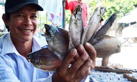 Trở lại vùng đặc sản khô bổi Cà Mau