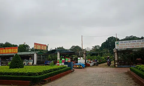 “Xẻ thịt” đất Quảng trường Hồ Chí Minh cho thuê kinh doanh và những “lùm xùm” xung quanh số tiền gần 500 triệu đồng