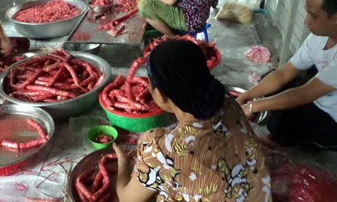 Nhộn nhịp vụ sản xuất "Tung lò mò" ở An Giang