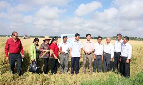 Vĩnh Long: Tiềm năng nông sản dồi dào