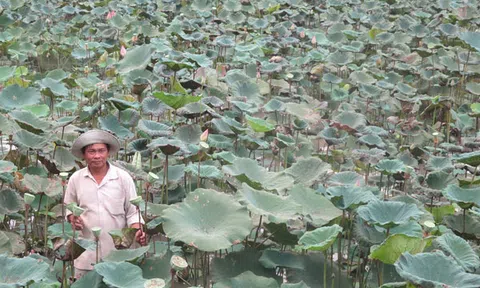 Núi Sập vươn tầm phát triển