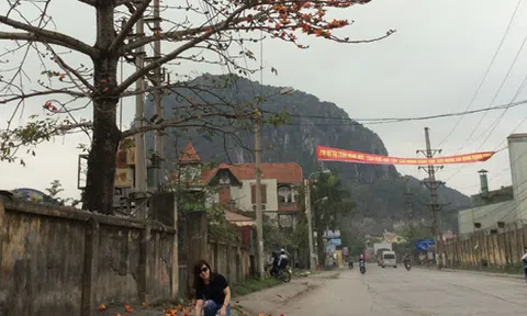 Nỗi niềm hoa gạo