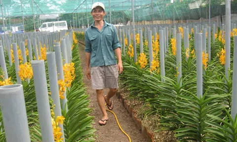 Tấm lòng nguyên Thủ tướng Phan Văn Khải với nông dân