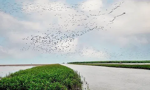 Điều chỉnh quy hoạch xây dựng vùng ĐBSCL đến năm 2030