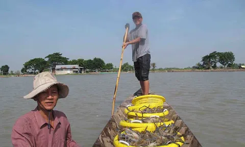 Ngao du miền Tây mùa xả lũ xem bắt cá, tôm...