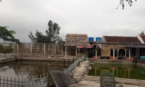 Một gia đình trèo tường suốt một năm vì bị bịt kín lối đi