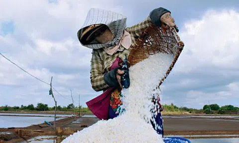 Mùa muối "ngọt"