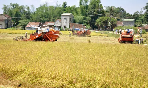 Sơn Mỹ đang phát triển nhanh, bền vững
