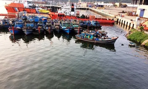 Gặp khó vì dự án cảng cá "nằm trên giấy" gần 16 năm