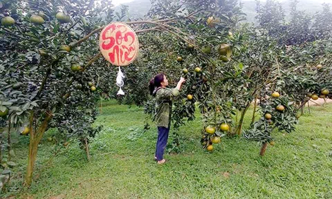 Tuyên Quang: Huy động mọi nguồn lực để xây dựng NTM