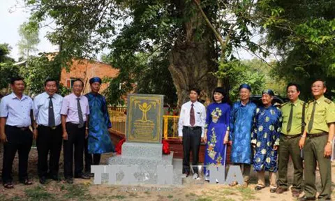 Ba cây Bằng lăng nước được công nhận là Cây di sản