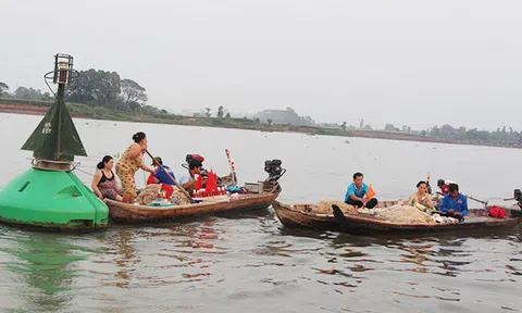 Ngư dân An Giang, Đồng Tháp vào “mùa” săn cá bông lau