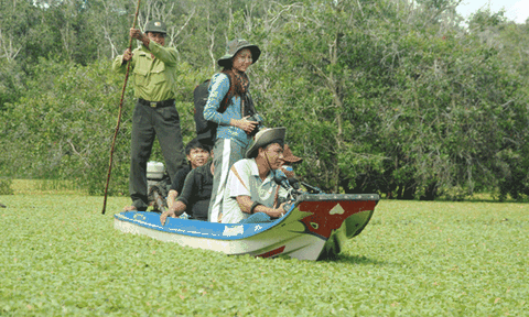 Đi đâu tham quan, trải nghiệm Đồng Tháp dịp lễ?