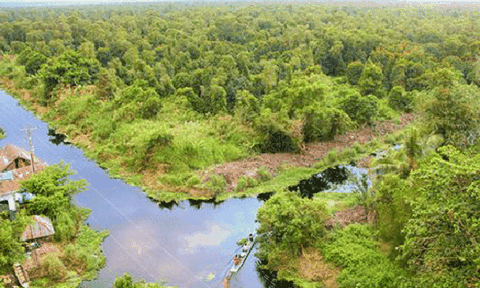 Về xứ "muỗi kêu mà như sáo thổi"