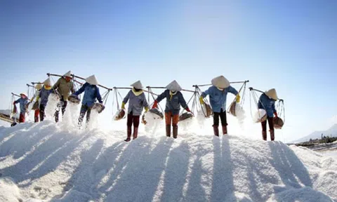 Nghề muối phơi cát miền Bắc cần được duy trì và bảo tồn