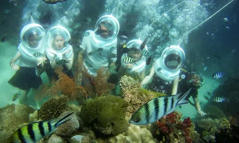 Lặn biển, săn cá, câu mực đêm tại Phú Quốc