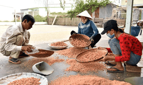 Làng nghề tôm khô Rạch Gốc - Nổi tiếng đất Mũi