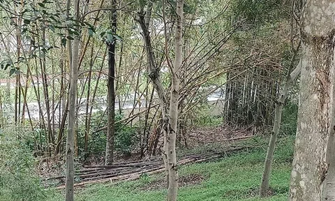 Nghệ An: “Rót” hơn 4 tỉ đồng cho Hội Sinh vật cảnh không qua đấu thầu, liệu có mờ ám?