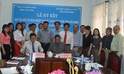 Viện Lúa ĐBSCL ký kết hợp tác với Kiên Giang