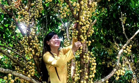 Triển vọng ĐBSCL trên bản đồ du lịch quốc tế