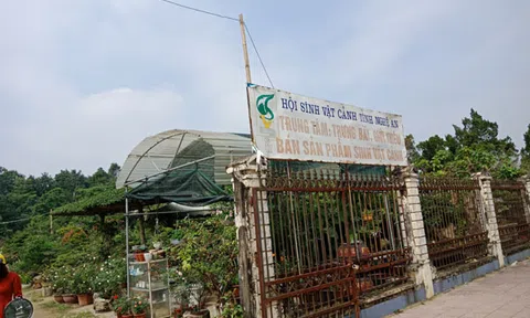 Thanh tra tỉnh Nghệ An kiểm tra khoản tiền hơn 4 tỷ đồng có mờ ám cấp cho Hội sinh vật cảnh