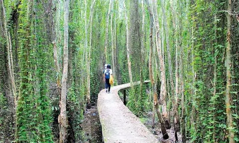 Tham quan làng nổi, chợ Châu Đốc