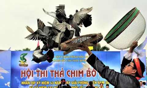 Bắc Ninh thả chim bồ câu vì hòa bình