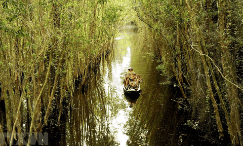 Làng nổi Tân Lập đẹp như tranh vẽ ở Long An