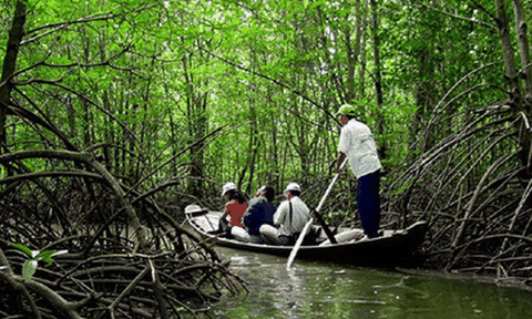 Ghé thăm khu di tích lịch sử Rừng Sác – Cần Giờ