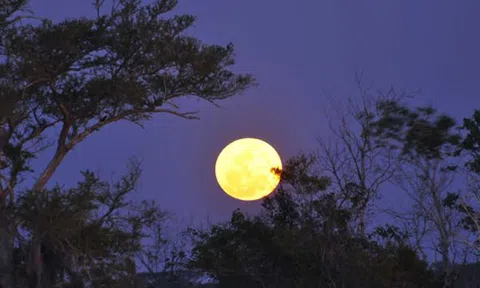 Đọc tiểu thuyết Trăng Quê của Trọng Bảo