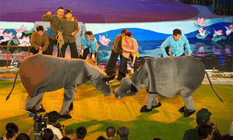 Xét danh hiệu NSND, một giám đốc nhà hát tại TP.HCM xin rút