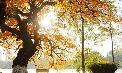 Đọc câu thơ, nhớ một mùa thu Hà Nội