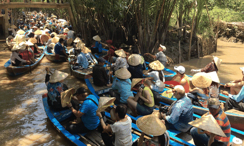 Du ngoạn Bốn Cồn - khám phá sông nước miền Tây