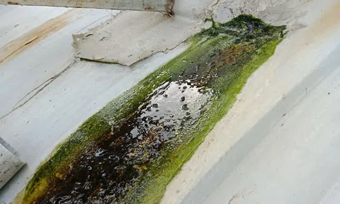 Nực cười với cách lý giải của Sở Y tế Nghệ An?