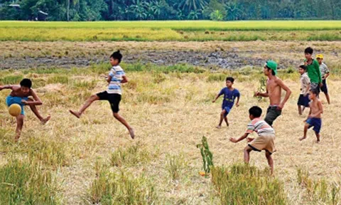 Thương cánh đồng khô