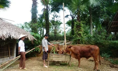 Ngân hàng CSXH Tuyên Quang giúp dân xóa đói giảm nghèo 