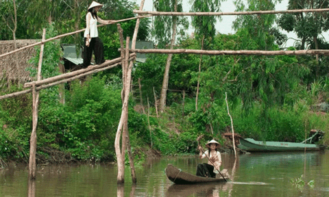 Cầu tre - Nét duyên dáng miền quê sông nước