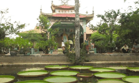 Chùa Phước Kiển - ngôi chùa uy nghiêm ở Đồng Tháp