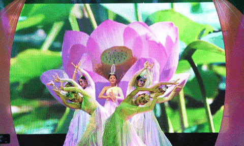 Chương trình “Chung đoá Sen Hồng” ở Đồng Tháp