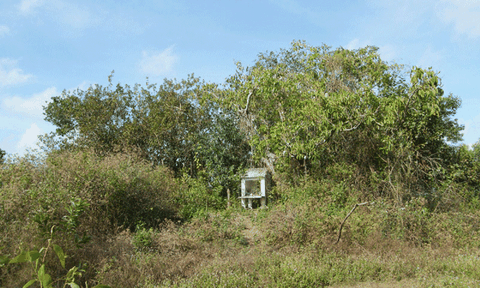 Cần phải bảo tồn các di tích khảo cổ học