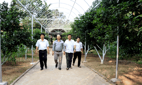 Hương Trà phấn đấu xây dựng thành công xã NTM kiểu mẫu