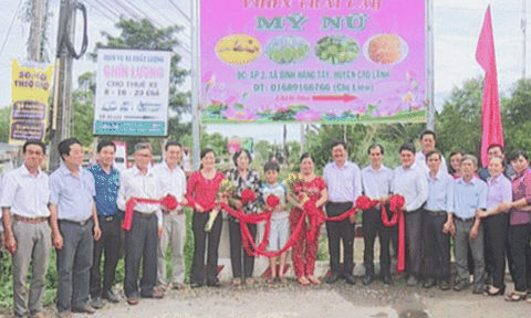 Đồng Tháp: Ra mắt điểm tham quan vườn trái cây