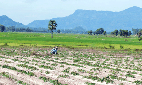 Mùa mưa Bảy Núi