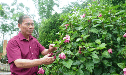 Gương sáng “Thi đua ái quốc” ở Tuyên Quang