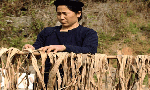 Giấy bản, thương hiệu của người Nùng ở Cao Bằng