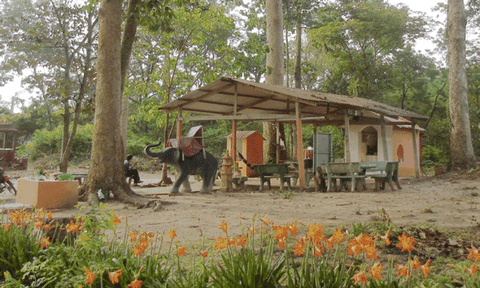 Trở lại vài di tích Bến Cầu