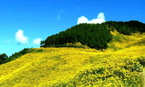 Dấu ấn xanh Anh hùng trên đất đỏ Tây Nguyên