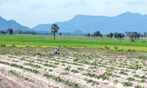 Mùa mưa Bảy Núi