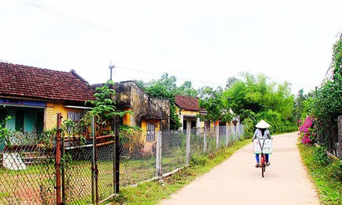 Bình Định: Lay lắt thành cổ