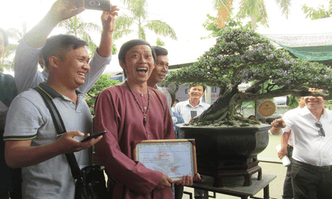 Cây Linh sam 500 triệu của danh hài Hoài Linh đạt giải nhất cuộc thi bonsai 